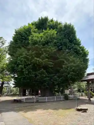 千葉寺(千葉県)
