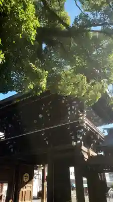 真清田神社の山門・神門