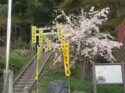 聖神社(埼玉県)