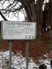 黄金龍神社（桂不動）の歴史