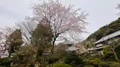 安楽寺(京都府)