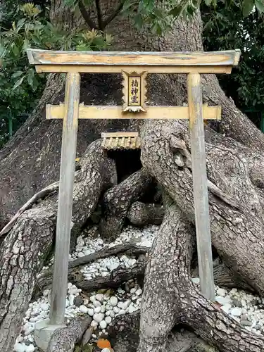 和泉國一之宮　大鳥大社(大阪府)