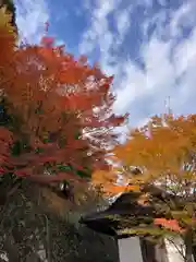 施福寺(大阪府)