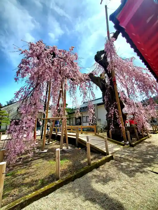 妙関寺(福島県)