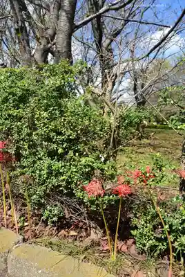 総持寺(神奈川県)