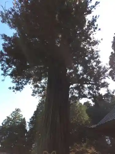 北口本宮冨士浅間神社(山梨県)
