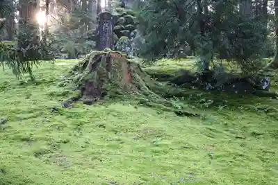 平泉寺白山神社(福井県)