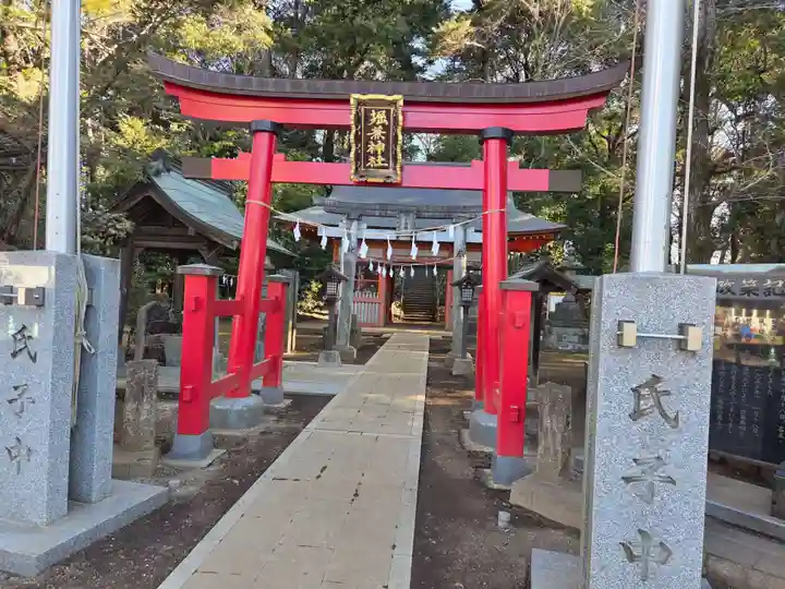 堀兼神社(浅間宮)(埼玉県)