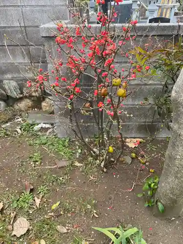 大法寺(神奈川県)