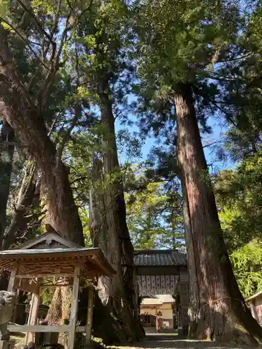 蛭子神社(徳島県)
