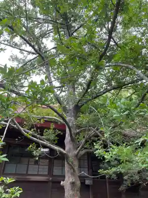 阿波神社(徳島県)