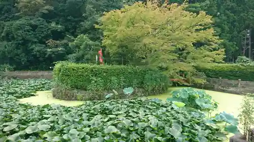 蓮池弁財尊天(宮城県)