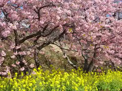 かっぱの寺 栖足寺(静岡県)