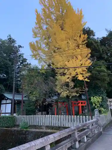 孫太郎稲荷神社（薬師寺境内社）のその他建物
