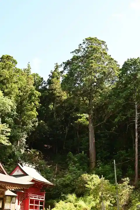 上一宮大粟神社(徳島県)