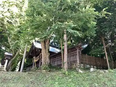 諏訪大社上社前宮の本殿・本堂