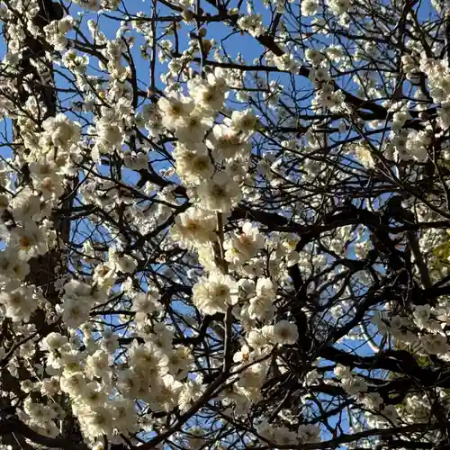 品川神社(東京都)