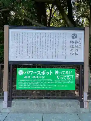 玉村八幡宮(群馬県)