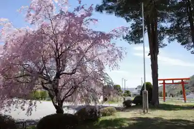 貴船神社の自然