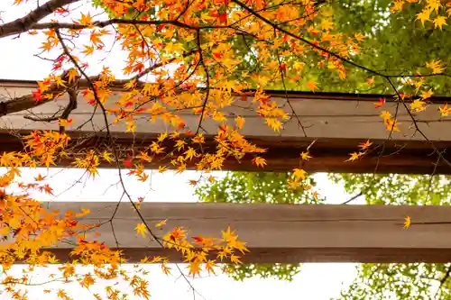 洲嵜神社(愛知県)