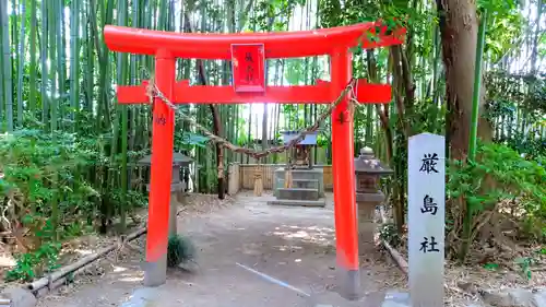 白山媛神社（上条白山媛神社）の鳥居