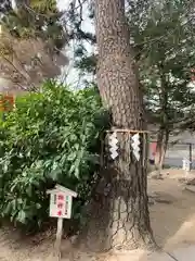 松先稲荷神社(千葉県)