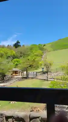 春日大社の周辺