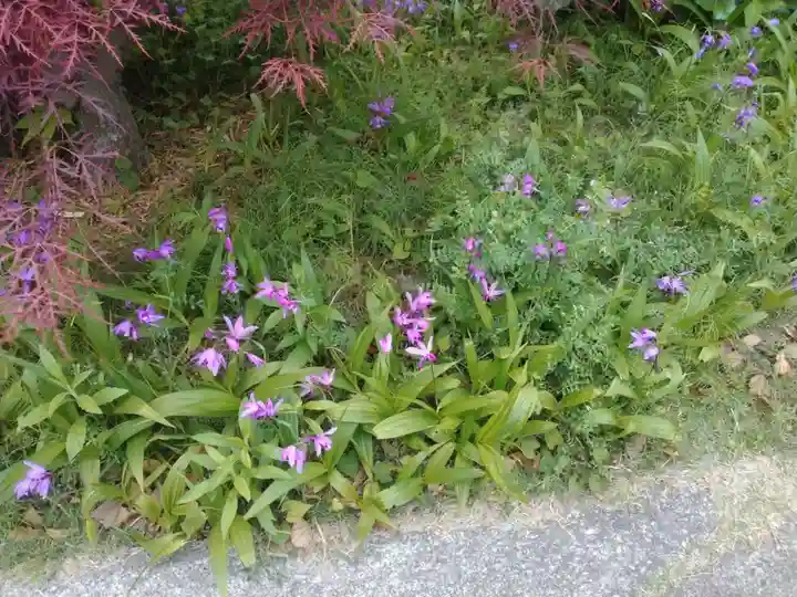 浄楽寺(神奈川県)