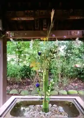 赤坂氷川神社(東京都)