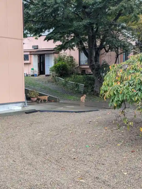 鹿島御児神社(宮城県)