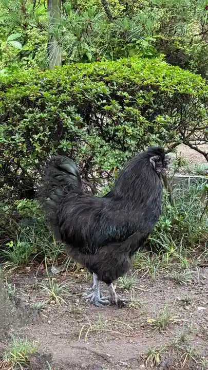 熱田神宮(愛知県)