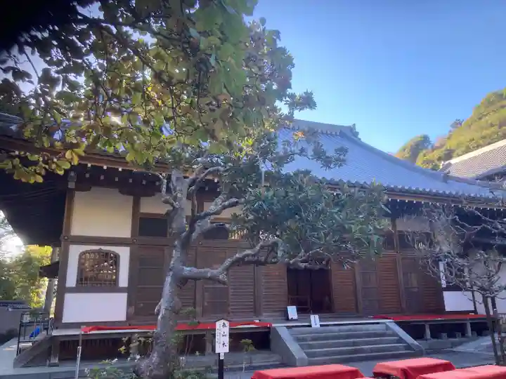 佛日庵(神奈川県)