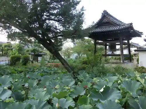 家原寺のその他建物