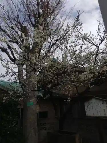 新宿下落合氷川神社(東京都)