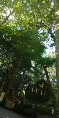 出雲大神宮のその他建物