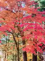 日枝神社(岐阜県)