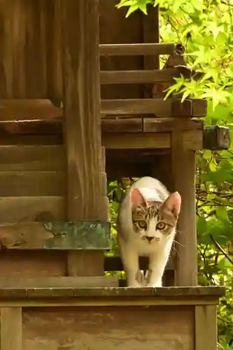 城上神社(島根県)