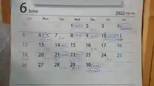 三輪神社(愛知県) 2022年06月01日(水)〜(2022年05月28日(土) 09時02分40秒投稿)