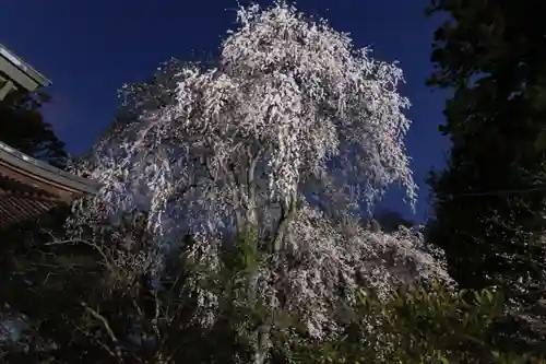 田村神社の庭園