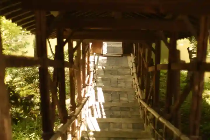 高台寺(高台寿聖禅寺・高臺寺)(京都府)