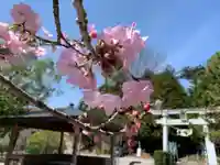 滑川神社 - 仕事と子どもの守り神の景色
