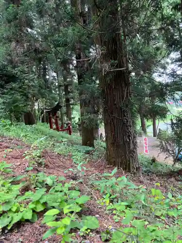 大宮温泉神社(栃木県)