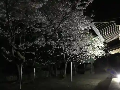 白羽神社の自然
