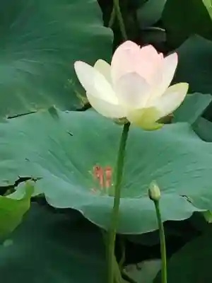 雲龍山 本證寺(愛知県)