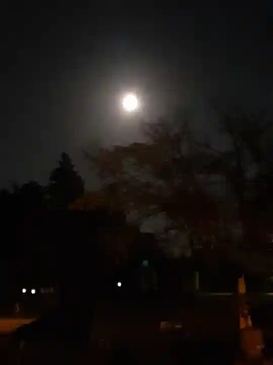 伏木香取神社(茨城県)