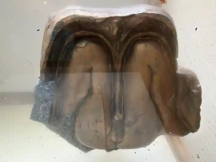 塞神社(長崎県)