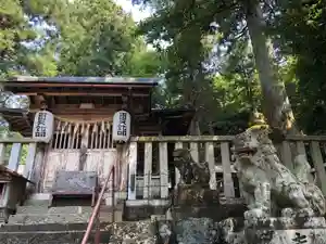天鷹神社(岐阜県)(2024年08月11日(日) 18時21分55秒投稿)