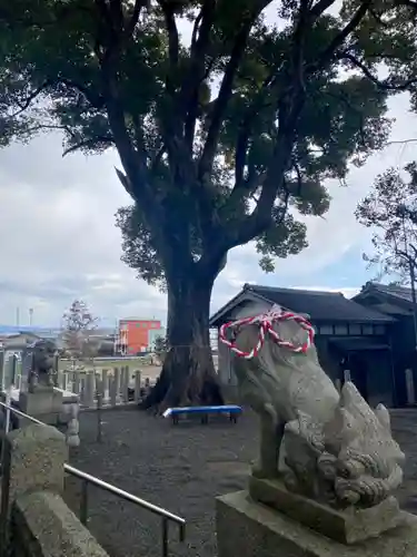 玉田神社の狛犬