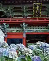 楽法寺(雨引観音)(茨城県)