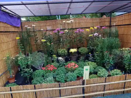 宗像大社(福岡県)